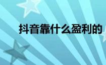 抖音靠什么盈利的（抖音靠什么盈利）