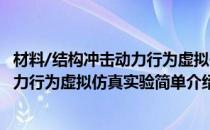 材料/结构冲击动力行为虚拟仿真实验(对于材料/结构冲击动力行为虚拟仿真实验简单介绍)