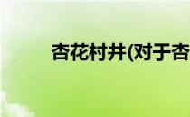 杏花村井(对于杏花村井简单介绍)