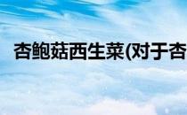 杏鲍菇西生菜(对于杏鲍菇西生菜简单介绍)