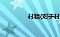 村粗(对于村粗简单介绍)