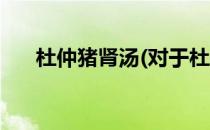 杜仲猪肾汤(对于杜仲猪肾汤简单介绍)