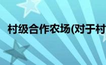 村级合作农场(对于村级合作农场简单介绍)