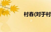 村舂(对于村舂简单介绍)