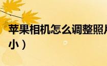 苹果相机怎么调整照片大小（怎么调整照片大小）