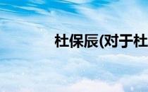 杜保辰(对于杜保辰简单介绍)