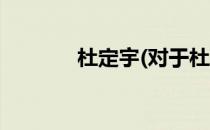 杜定宇(对于杜定宇简单介绍)