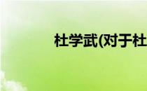 杜学武(对于杜学武简单介绍)