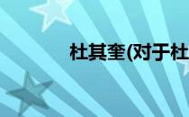 杜其奎(对于杜其奎简单介绍)