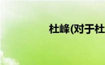杜峰(对于杜峰简单介绍)