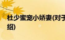 杜少蜜宠小娇妻(对于杜少蜜宠小娇妻简单介绍)