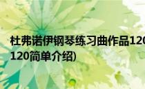 杜弗诺伊钢琴练习曲作品120(对于杜弗诺伊钢琴练习曲作品120简单介绍)