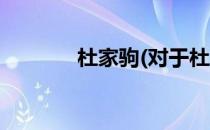 杜家驹(对于杜家驹简单介绍)