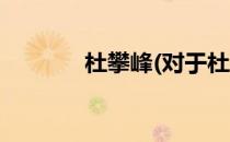 杜攀峰(对于杜攀峰简单介绍)