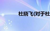 杜晓飞(对于杜晓飞简单介绍)