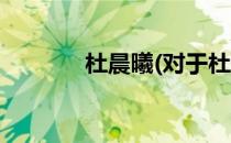 杜晨曦(对于杜晨曦简单介绍)