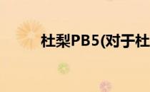 杜梨PB5(对于杜梨PB5简单介绍)