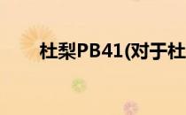 杜梨PB41(对于杜梨PB41简单介绍)