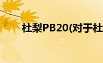 杜梨PB20(对于杜梨PB20简单介绍)