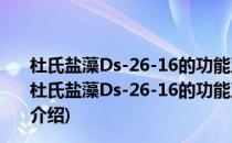 杜氏盐藻Ds-26-16的功能及广谱耐盐分子机制的研究(对于杜氏盐藻Ds-26-16的功能及广谱耐盐分子机制的研究简单介绍)
