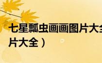 七星瓢虫画画图片大全简单（七星瓢虫画画图片大全）