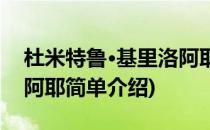 杜米特鲁·基里洛阿耶(对于杜米特鲁·基里洛阿耶简单介绍)