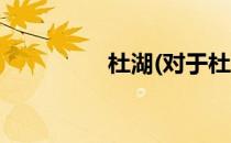 杜湖(对于杜湖简单介绍)