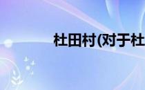 杜田村(对于杜田村简单介绍)
