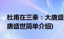 杜甫在三秦：大唐盛世(对于杜甫在三秦：大唐盛世简单介绍)