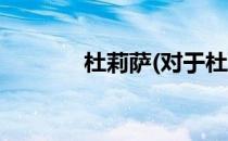 杜莉萨(对于杜莉萨简单介绍)