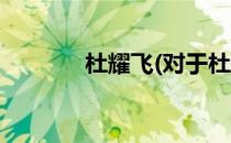 杜耀飞(对于杜耀飞简单介绍)