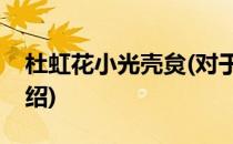 杜虹花小光壳炱(对于杜虹花小光壳炱简单介绍)