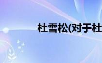 杜雪松(对于杜雪松简单介绍)