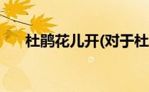 杜鹃花儿开(对于杜鹃花儿开简单介绍)