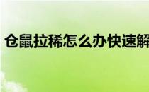 仓鼠拉稀怎么办快速解决（仓鼠拉稀怎么办）