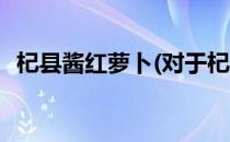 杞县酱红萝卜(对于杞县酱红萝卜简单介绍)