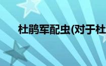 杜鹃军配虫(对于杜鹃军配虫简单介绍)