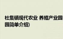 杜集镇现代农业 养殖产业园(对于杜集镇现代农业 养殖产业园简单介绍)
