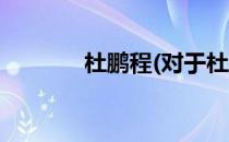 杜鹏程(对于杜鹏程简单介绍)