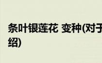 条叶银莲花 变种(对于条叶银莲花 变种简单介绍)