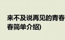 来不及说再见的青春(对于来不及说再见的青春简单介绍)