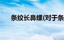 条纹长鼻螺(对于条纹长鼻螺简单介绍)