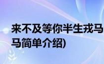 来不及等你半生戎马(对于来不及等你半生戎马简单介绍)