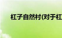 杠子自然村(对于杠子自然村简单介绍)