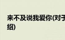 来不及说我爱你(对于来不及说我爱你简单介绍)