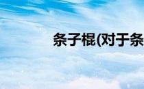 条子棍(对于条子棍简单介绍)