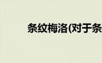 条纹梅洛(对于条纹梅洛简单介绍)