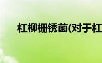 杠柳栅锈菌(对于杠柳栅锈菌简单介绍)