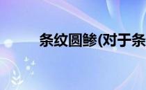 条纹圆鲹(对于条纹圆鲹简单介绍)