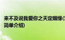 来不及说我爱你之天定姻缘(对于来不及说我爱你之天定姻缘简单介绍)